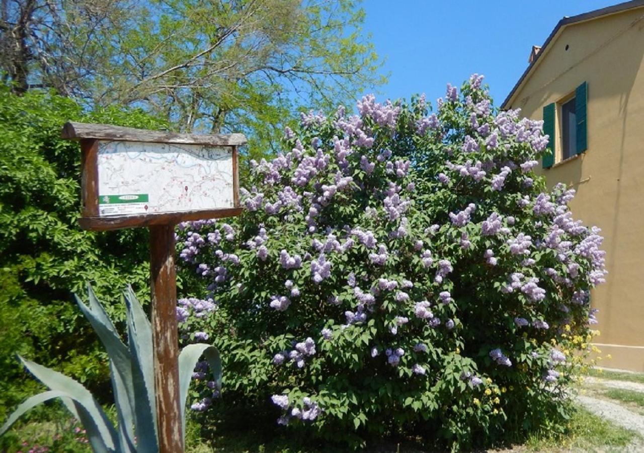 Casa Delle Ginestre Apartman Cesena Kültér fotó