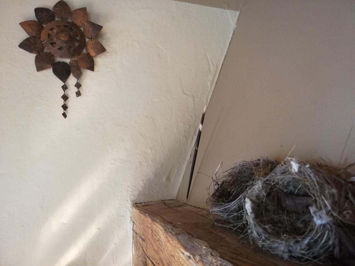 Casa Delle Ginestre Apartman Cesena Kültér fotó